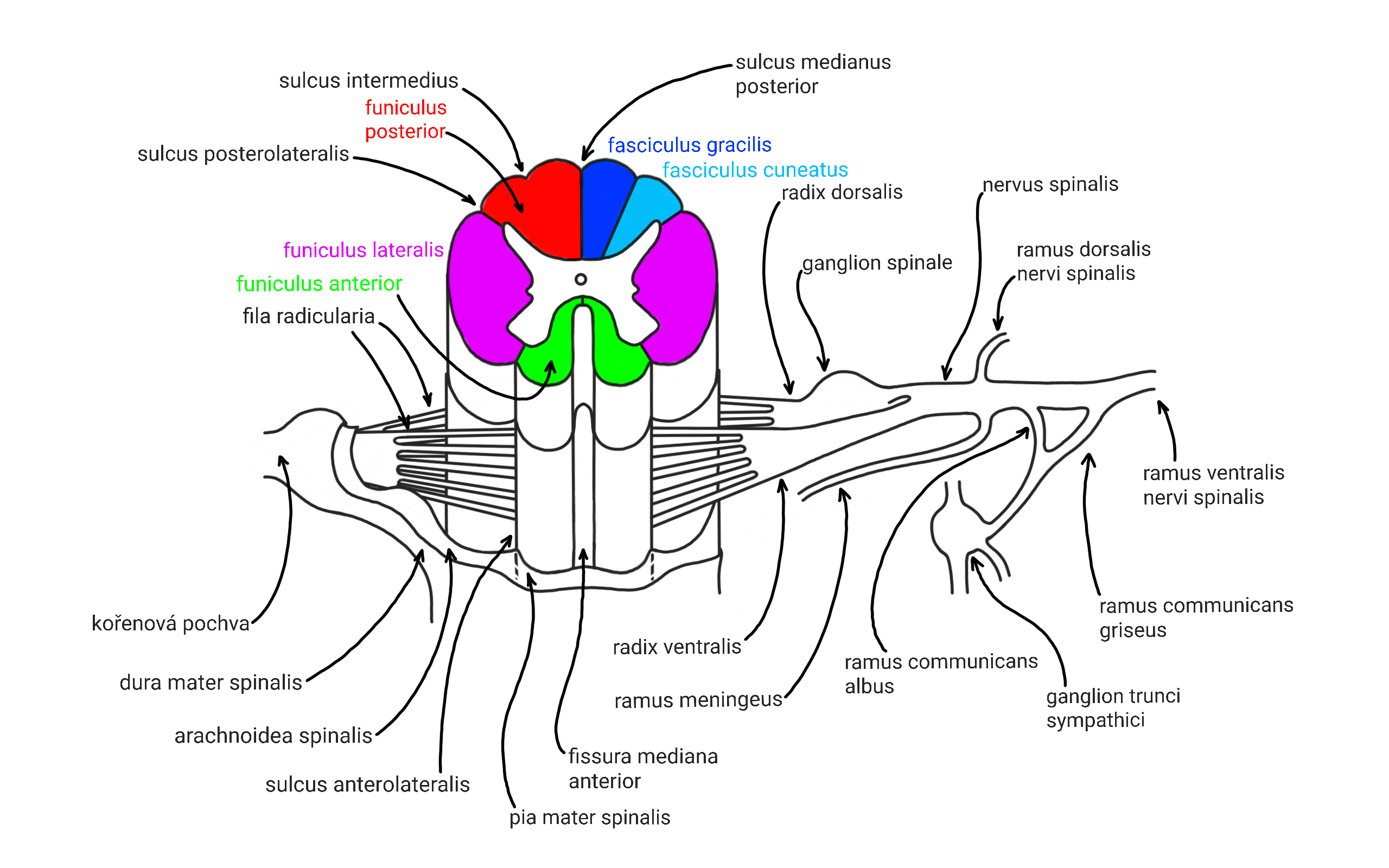 7c98860e-6c9a-4585-bb3d-b86232487aee.png