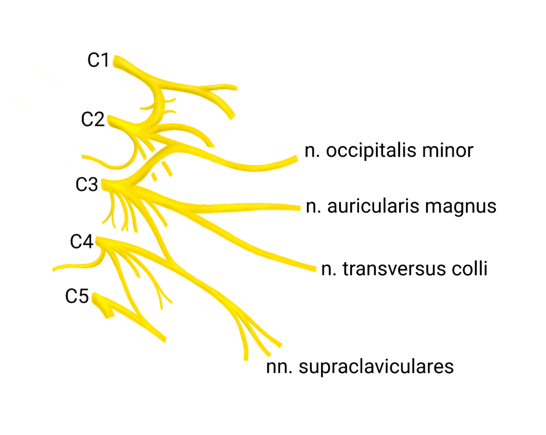 eac8108b-f12c-49c9-b1da-5b32f33c8cf0.png