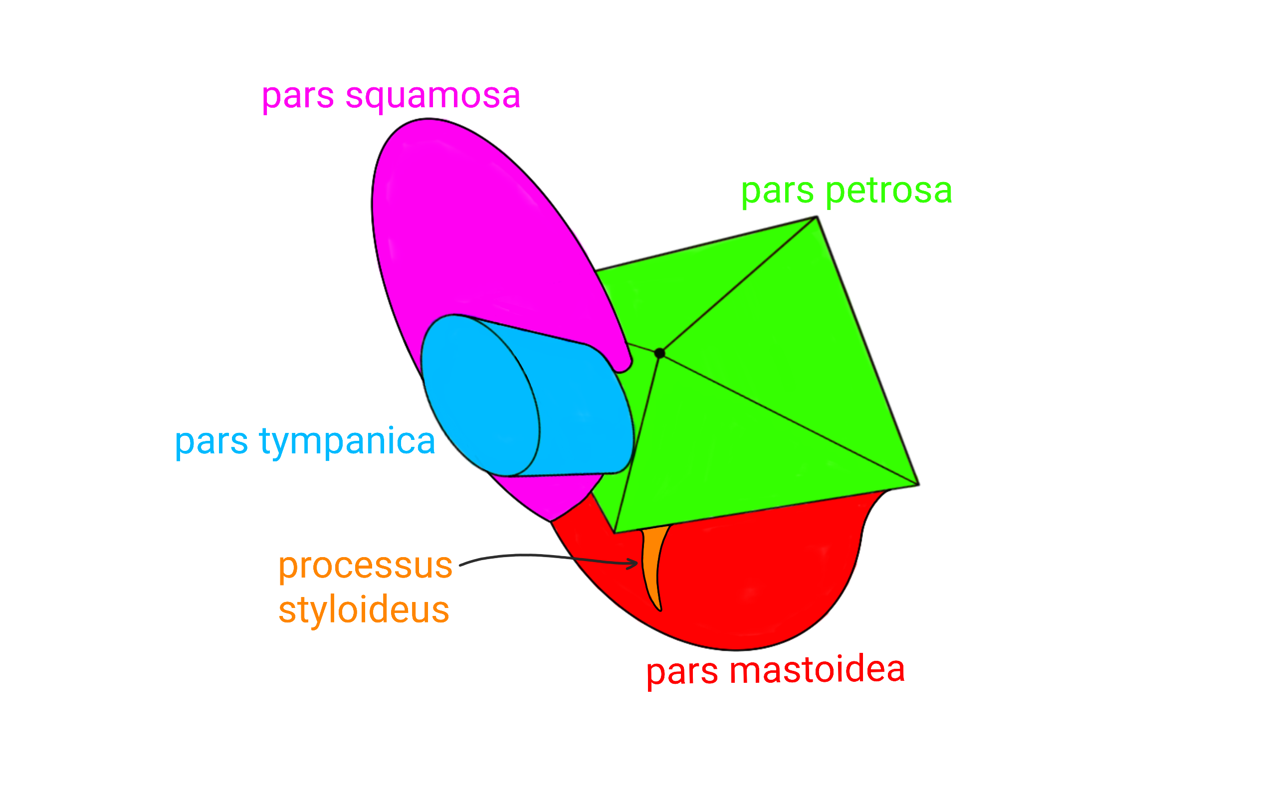 cleneni-os-temporale_.png